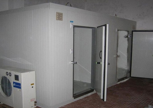 小型冷庫(kù)