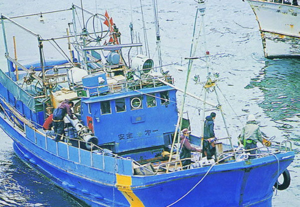 漁業(yè)魚(yú)類速凍